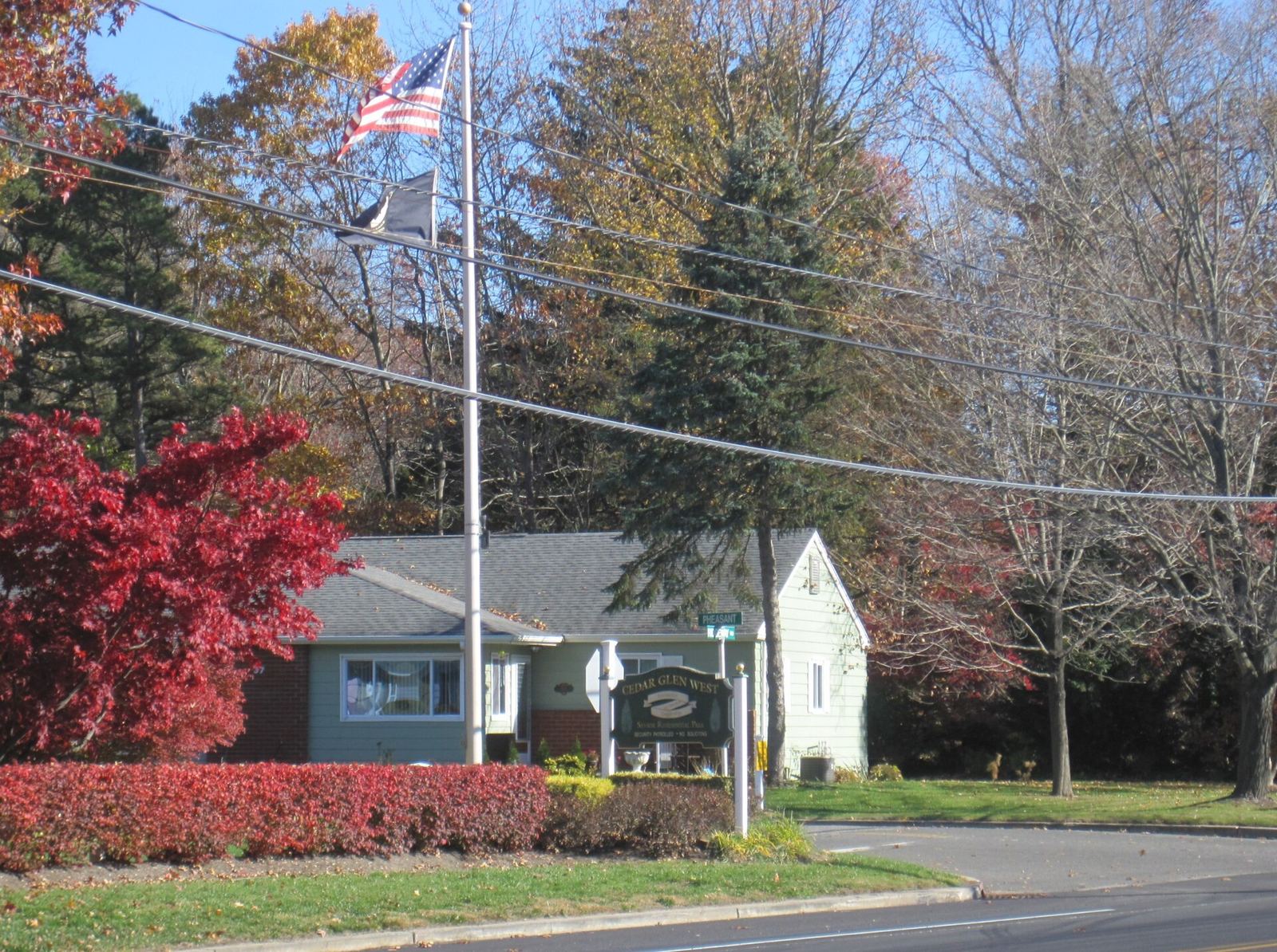 Quiet pine-woods residential character — settling mood for a move