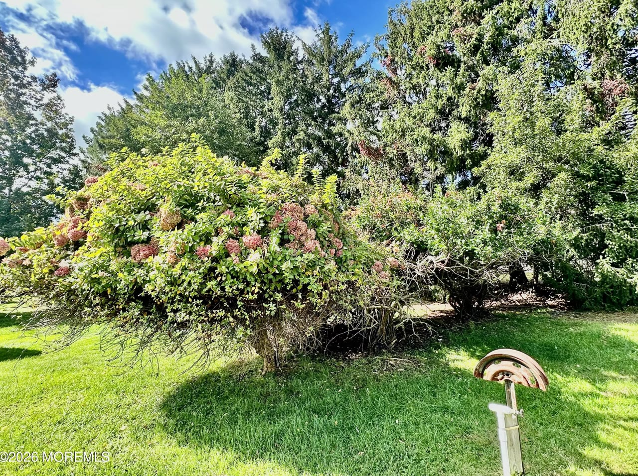 Photo 61 of 10 Biscayne St